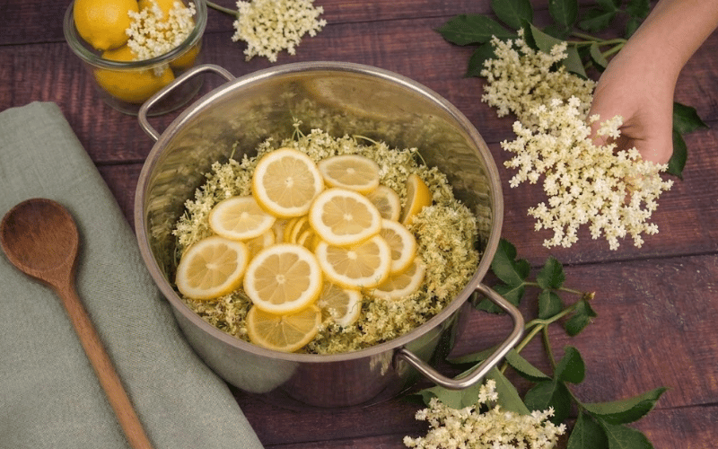 bezový sirup do blogu 02